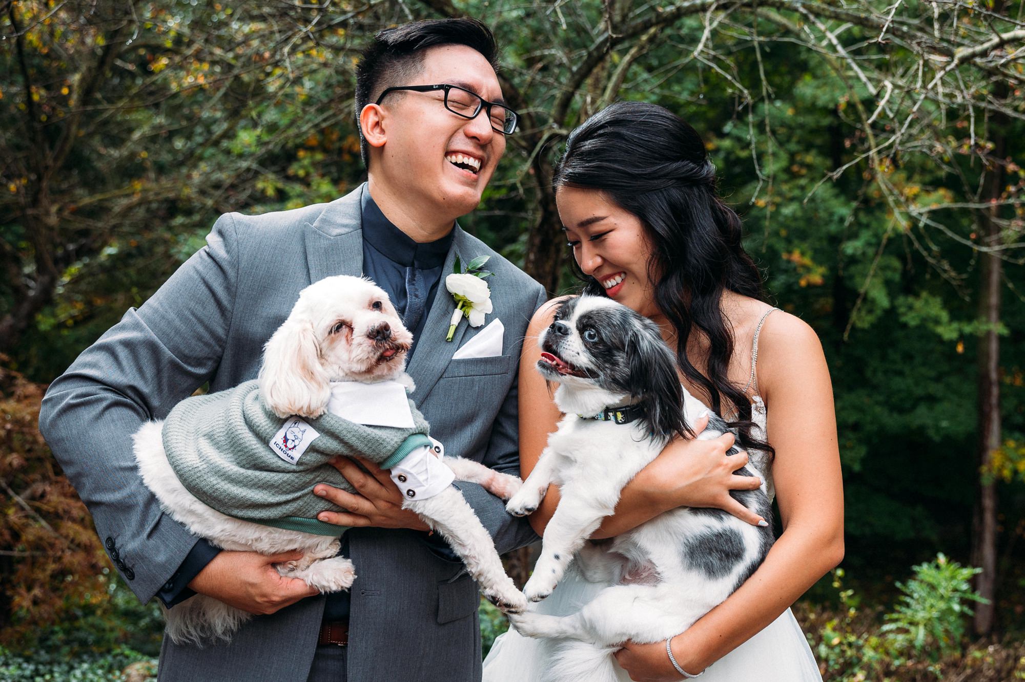 bride and groom photo with their two dogs