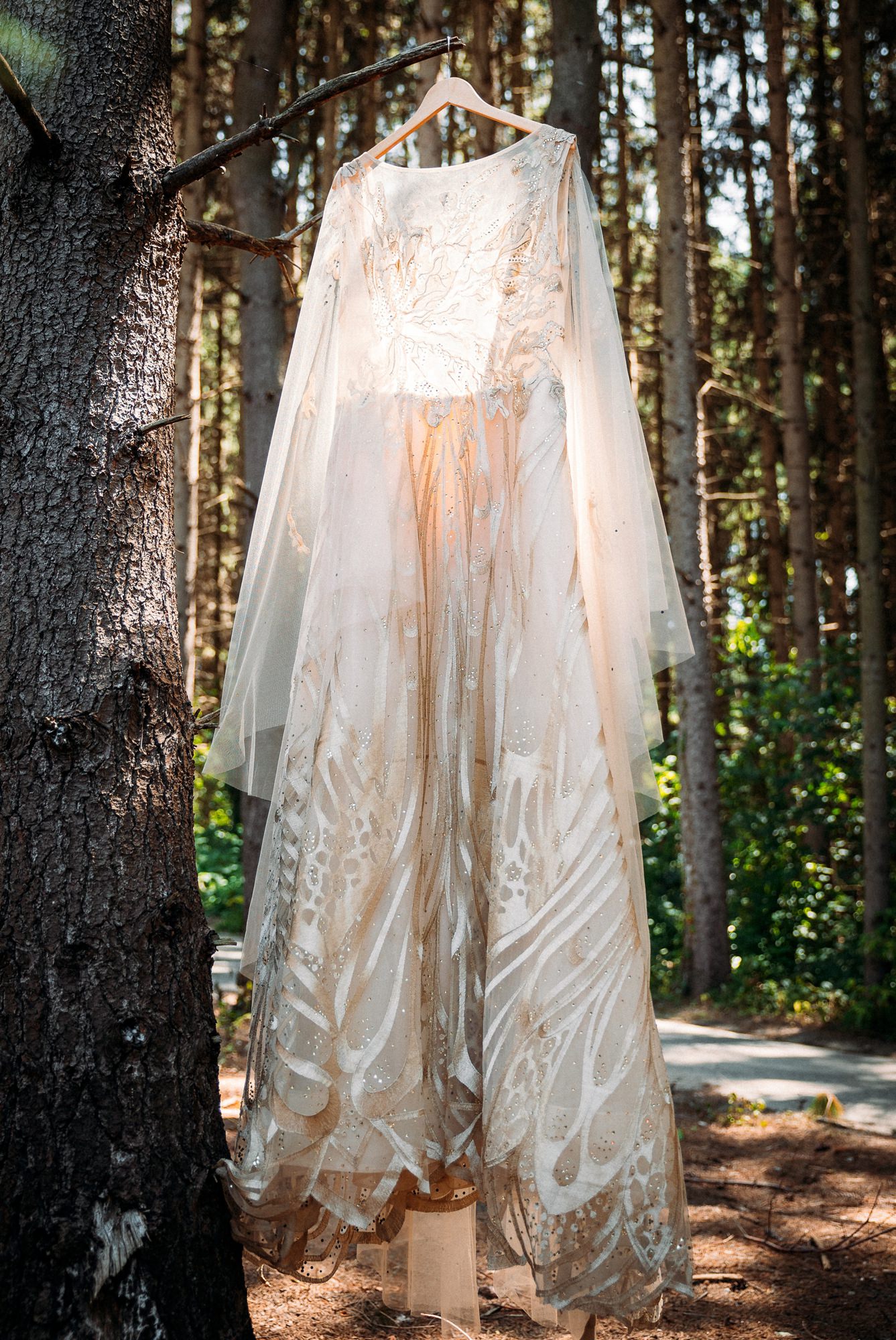 Wedding dress hanging from tree