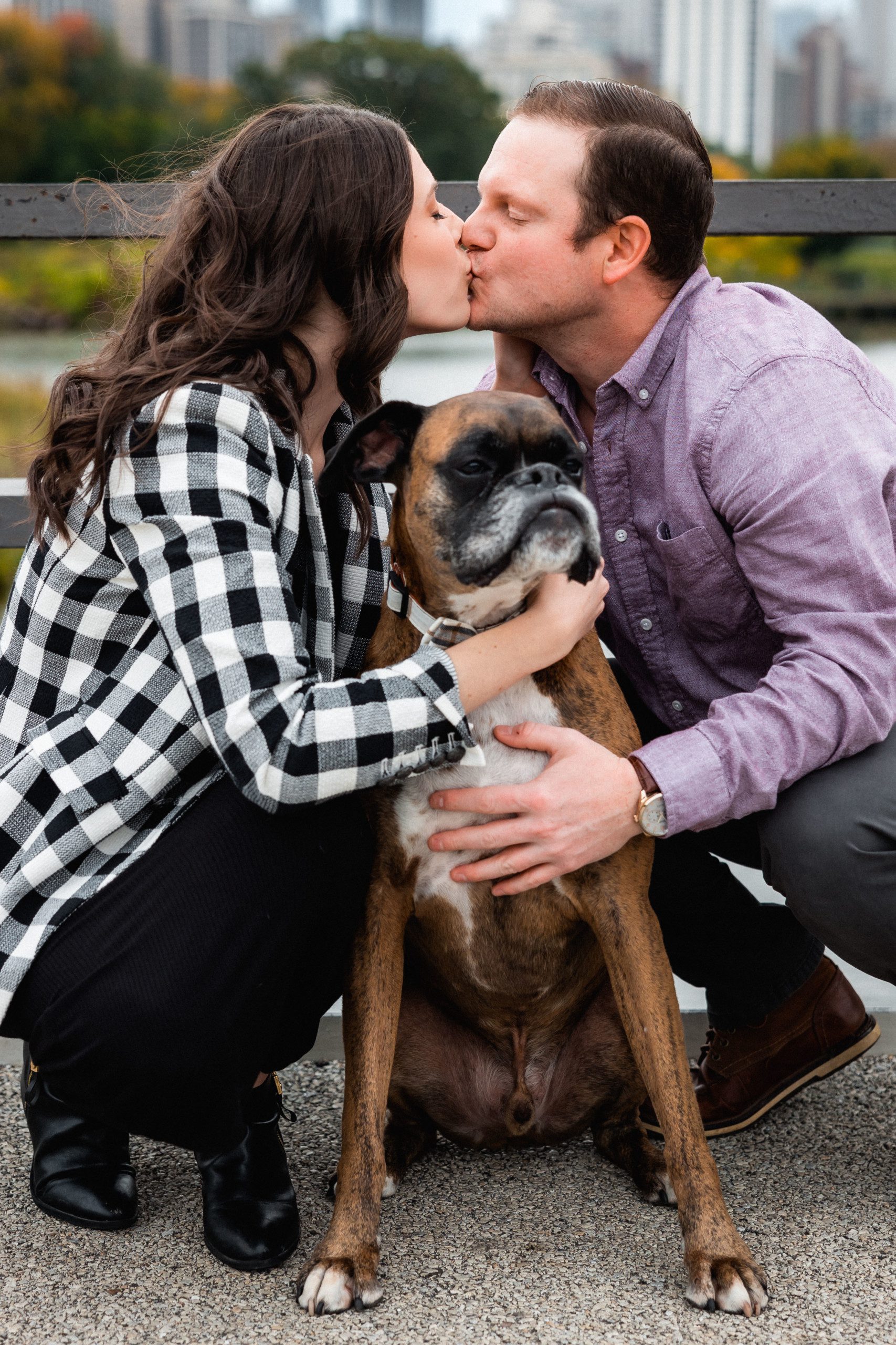 dog in engagement photos