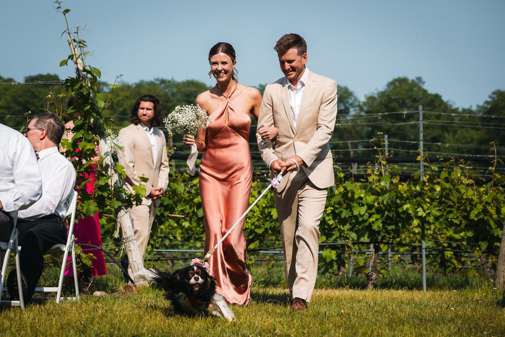 Dog Walks Down Aisle at Brengman Family Winery Wedding Ceremony